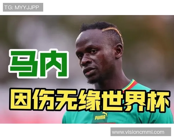 非洲足球球星榜单解析：足坛巨星与潜力新星一网打尽